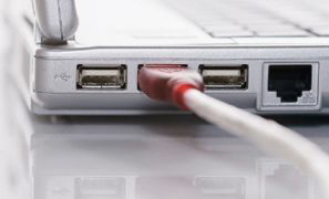 NetObjects Fusion 12.0